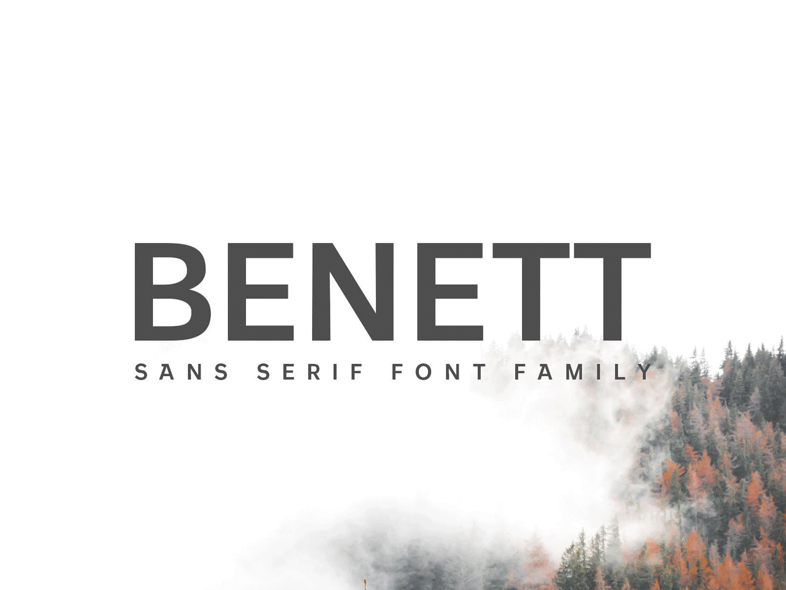 Benett Sans Serif Font Family