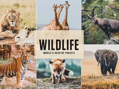 Free Wildlife Mobile & Desktop Lightroom Presets wedding presets