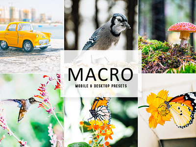 Macro Mobile & Desktop Lightroom Presets wedding presets