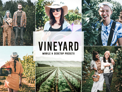 Vineyard Mobile & Desktop Lightroom Presets