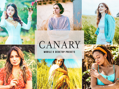 Canary Mobile & Desktop Lightroom Presets wedding presets