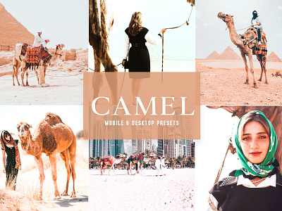 Camel Mobile & Desktop Lightroom Presets wedding presets