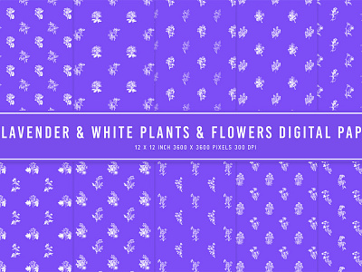 Lavender & White Plants & Flowers Digital Papers