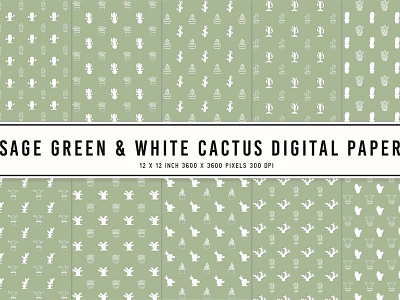 Sage Green & White Cactus Digital Papers illustration ui