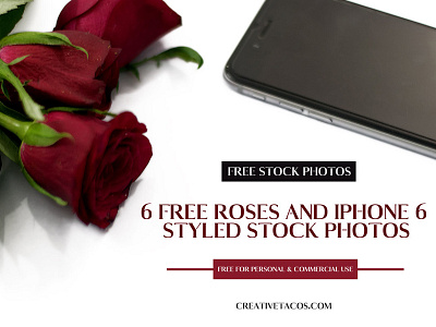 6 Free Roses And Iphone 6 Styled Stock Photos cheap stock photos hero images iphone stock image lovely stock photos minimalist stock images mobile template placeholder images royalty free stock photos social media stock photos styled stock images styled stock photos