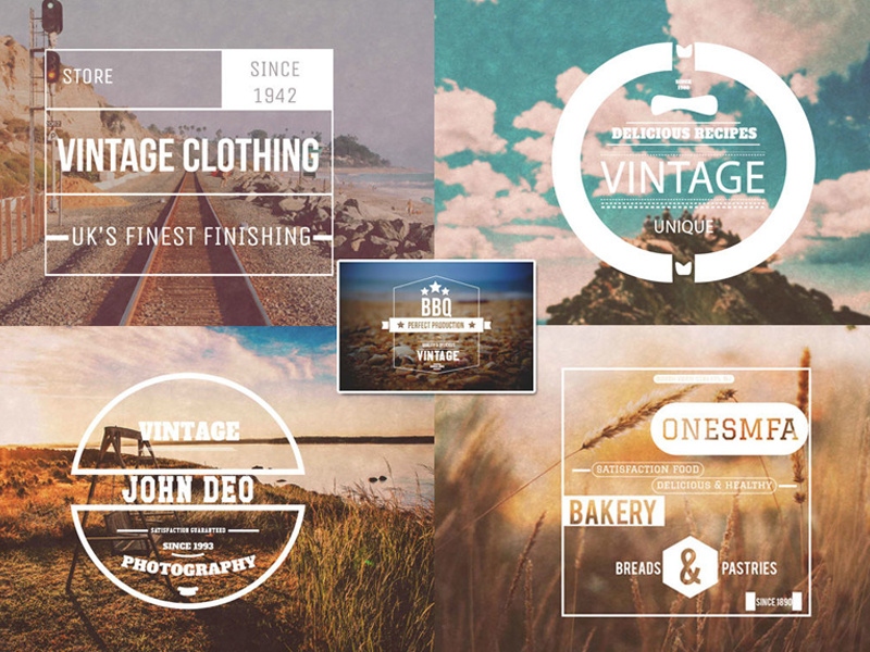 Insignia Logo designs, themes, templates and downloadable graphic ...