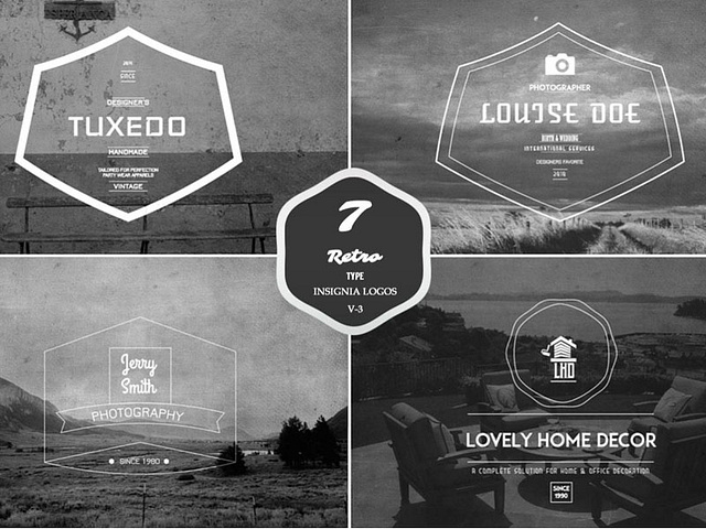 Insignia Logo designs, themes, templates and downloadable graphic ...