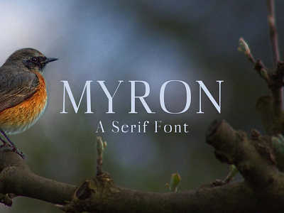 Free Myron Serif Font capitals cool display elegant headline magazine modern poster rounded serif small stylish