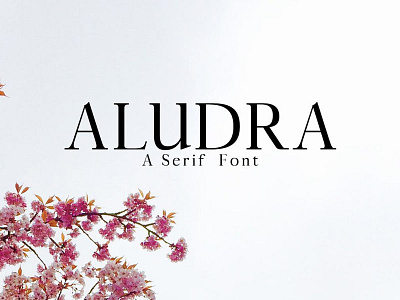 Free Aludra Serif design display font fonts graphic modern otf stylish text typeface typography unique