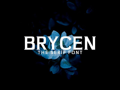 Free Brycen Serif Demo Font