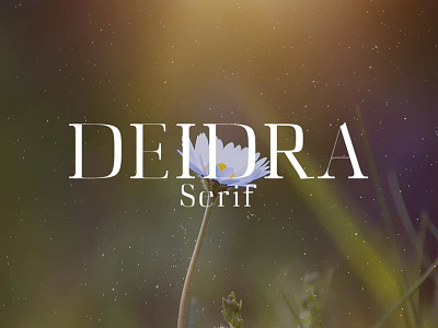 Free Deidra Serif Font clean display family font headline magazine modern multilingual poster text typeface