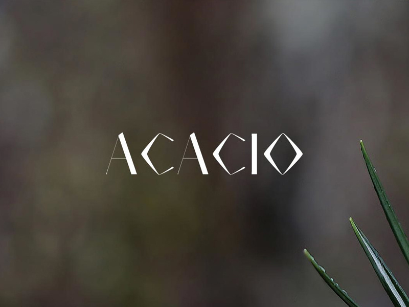 Creativetacos 1 1198x799