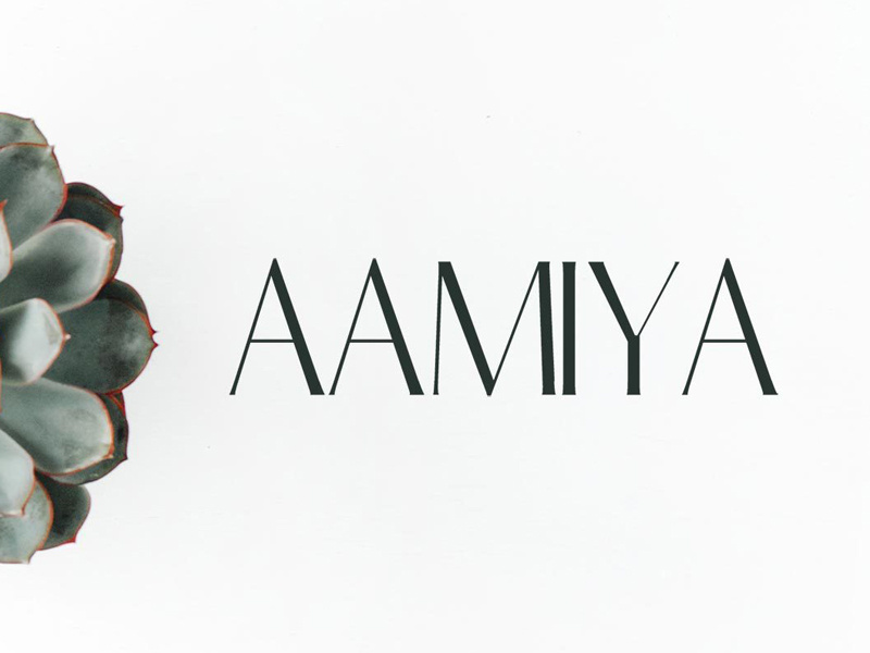 Free Aamiya Serif Typeface european english french expressive expert opentype luxury fancy sharp expression