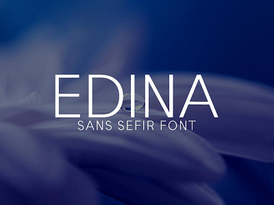 Free Edina Sans Serif Font font grotesque header letters modern numbers regular sans serif thin typeface uppercase