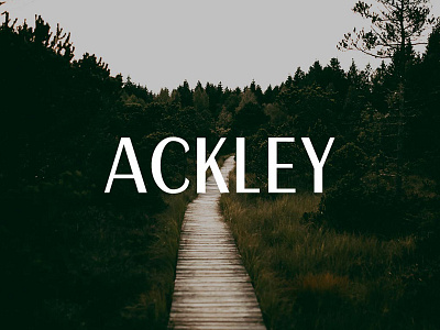 Free Ackley Sans Serif font grotesque header letters modern numbers regular sans serif thin typeface uppercase