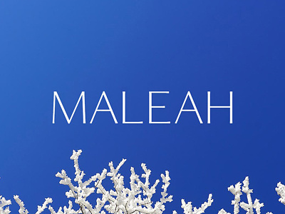 Free Maleah Sans Serif Font font grotesque header letters modern numbers regular sans serif thin typeface uppercase