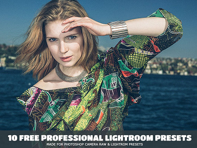 10 Free Professional Lightroom Presets actions cs3 filter filters free photoshop vintage