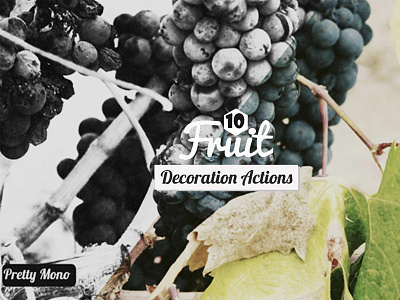 10 Free Fruits Decoration Photoshop Actions actions cs3 family filter filters free photoshop vintage