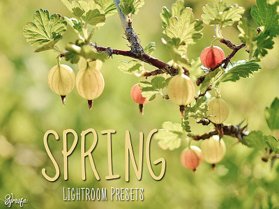 50 Spring Season Lightroom Presets 4 5 color colors effects for lightroom preset presets spring wedding wow