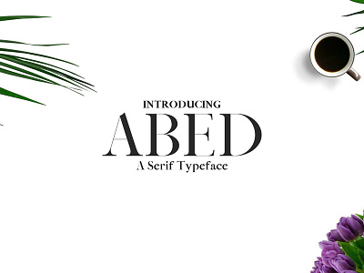 Abed Serif 5 Font Family Pack