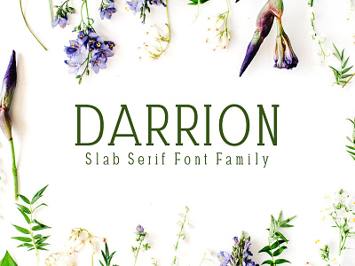 Darrion Slab Serif 5 Font Family