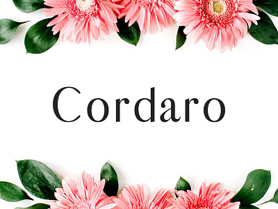 Cordaro Sans Serif 2 Font Family