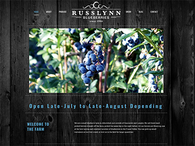 Blueberry Farm Website agriculture background brand identity branding dark farm web design website wood