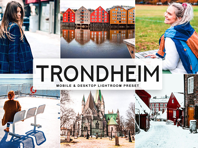 Free Trondheim Mobile & Desktop Lightroom Preset