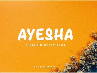 Ayesha Display Font brush font fancy font