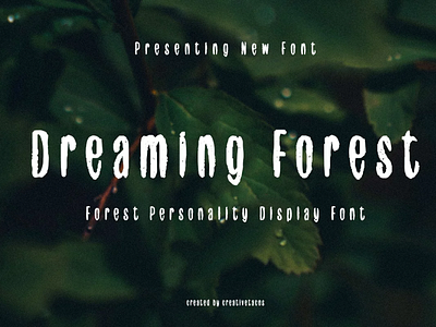 Dreaming Forest Display Font