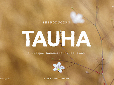 Tauha Handmade Brush Font brush font handmade font support multilingual