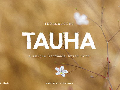 Tauha Handmade Brush Font