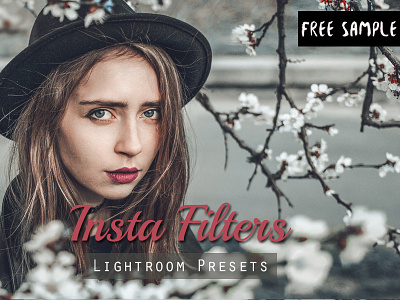 Free Insta Filters Lightroom Presets