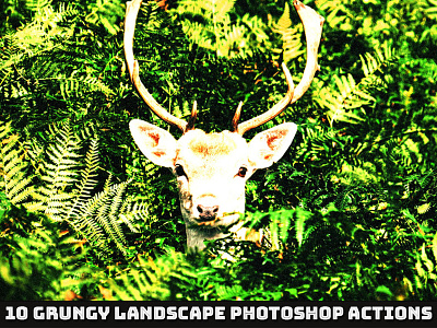 Free 10 Grungy Landscape Photoshop Actions
