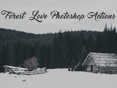 Forest Love Photoshop Actions best free actions contrast actions cs3 actions forest actions forest filter photoshop actions forest filters forest love photoshop actions free photoshop actions love actions