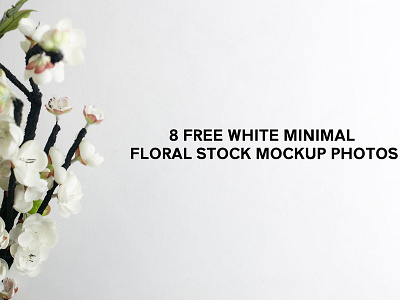 8 Free White Minimal Floral Stock Mockup Photos free floral photos free floral stock free floral stock mockup photos free minimal photos free stock photos minimal photos minimal stock photos