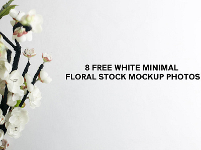 8 Free White Minimal Floral Stock Mockup Photos