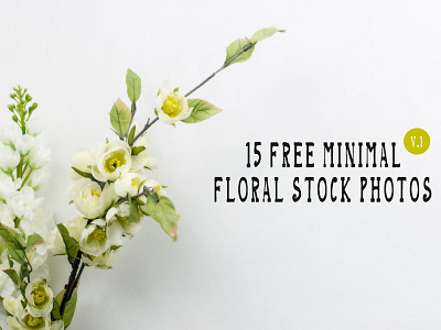 15 Free Minimal Floral Stock Photos Ver. 1 free floral photos free floral stock free floral stock mockup photos free minimal photos free stock photos minimal photos minimal stock photos