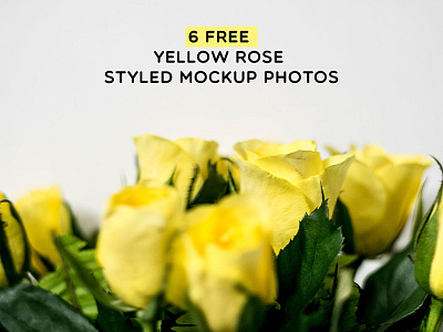 Yellow Rose Styled Mockup Photos
