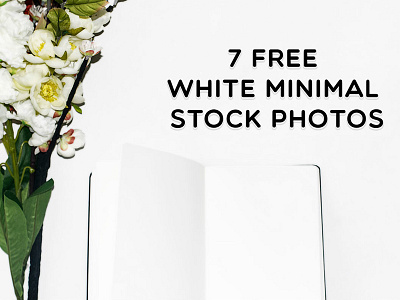 7 Free Minimal Floral Stock Photos Vol. 3 free minimal photos free stock photos free white photos free white stock minimal photos white minimal stock photos