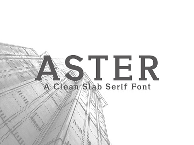 Free Aster Slab Serif Regular Font chile daniel download egyptian fashion free geometric hernandez pap pap buypending slab slabserif