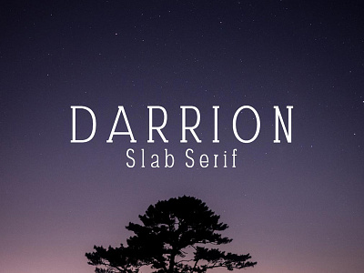 Free Darrion Slab Serif Demo Font airbag bold clean display font glyphs serif slab slab serif slabserif stylish typeface