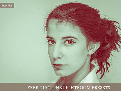 3 Free Duotone Lightroom Presets
