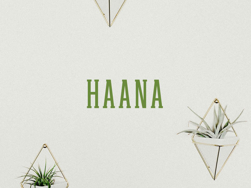 Free Haana Slab Serif Font text font simple serif slab display fonts bold typography
