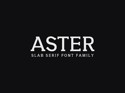 Aster Slab Serif 9 Font Family Pack