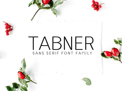 Tabner Sans Serif 6 Font Family bold branding clean display font magazine modern multilingual poster text webfont