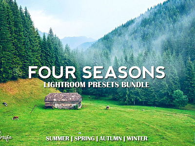4 Seasons Lightroom Presets Bundle