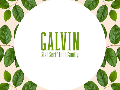 Galvin Slab Serif 5 Font Family Pack beautiful clean display family font magazine modern poster text