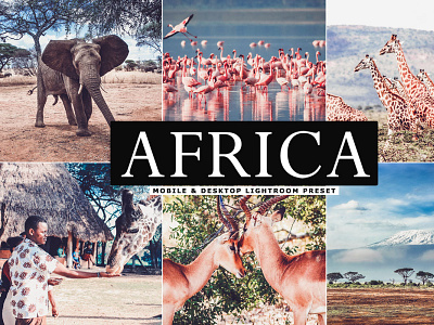 Free Africa Mobile & Desktop Lightroom Preset