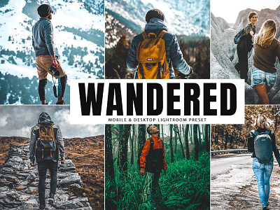 Free Wandered Mobile & Desktop Lightroom Preset